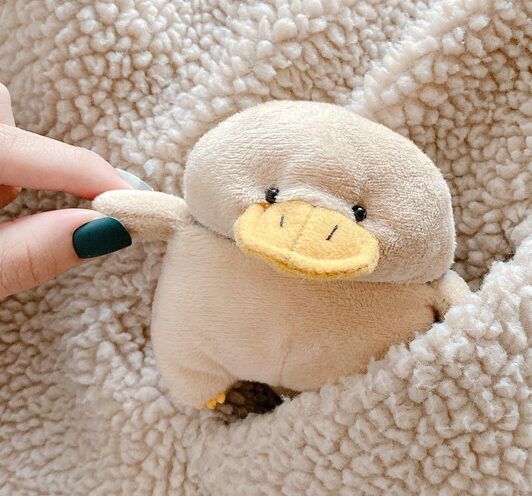 212c7d6b-1d10-4d4c-a2d2-e8273f294d7f.jpg Duck AirPod Case